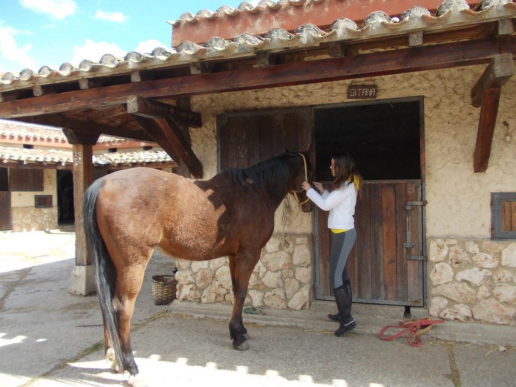 Hotel Los Rastrojos Aranda de Duero Dış mekan fotoğraf